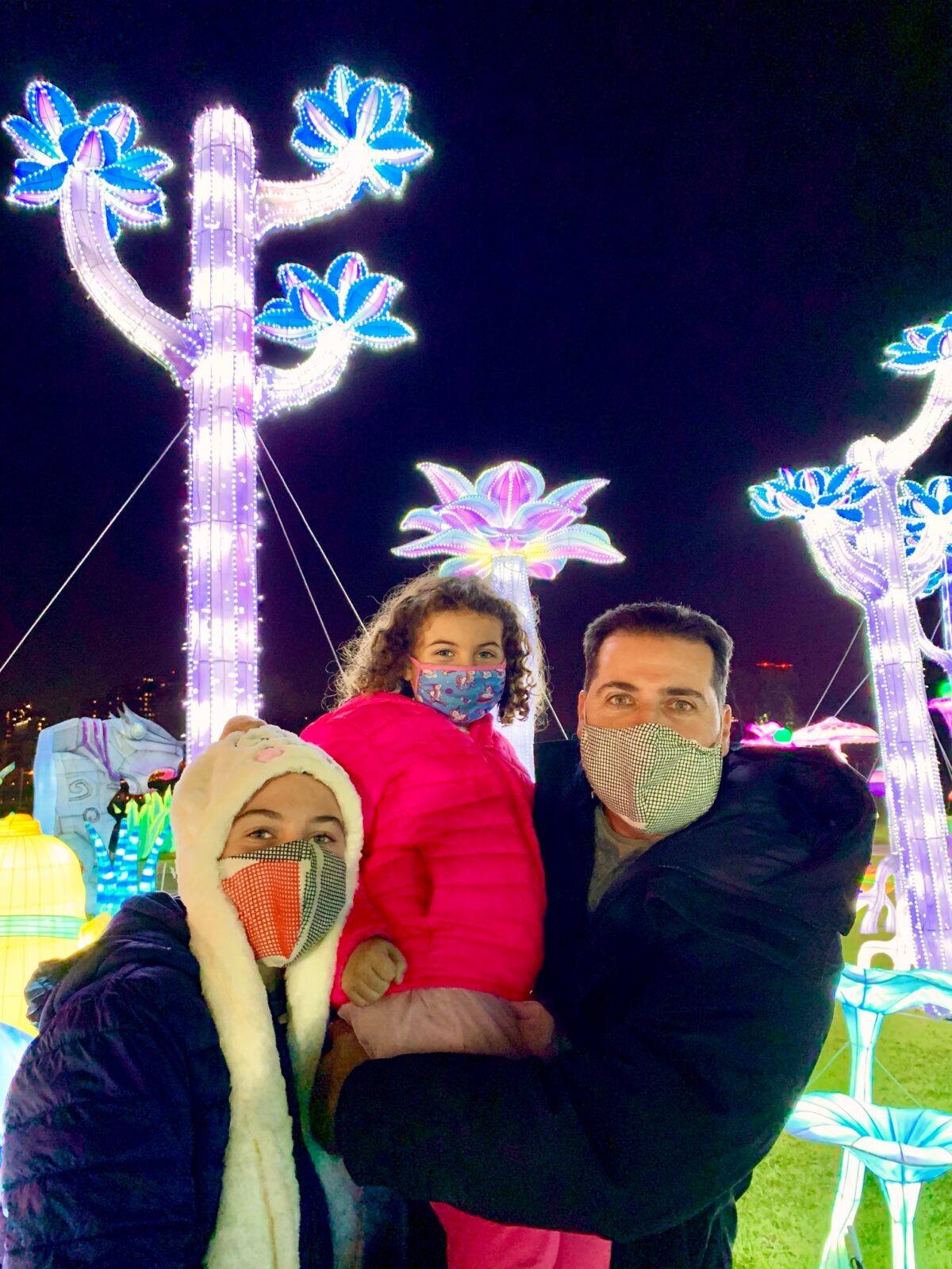 LuminoCity Festival holiday lights NY