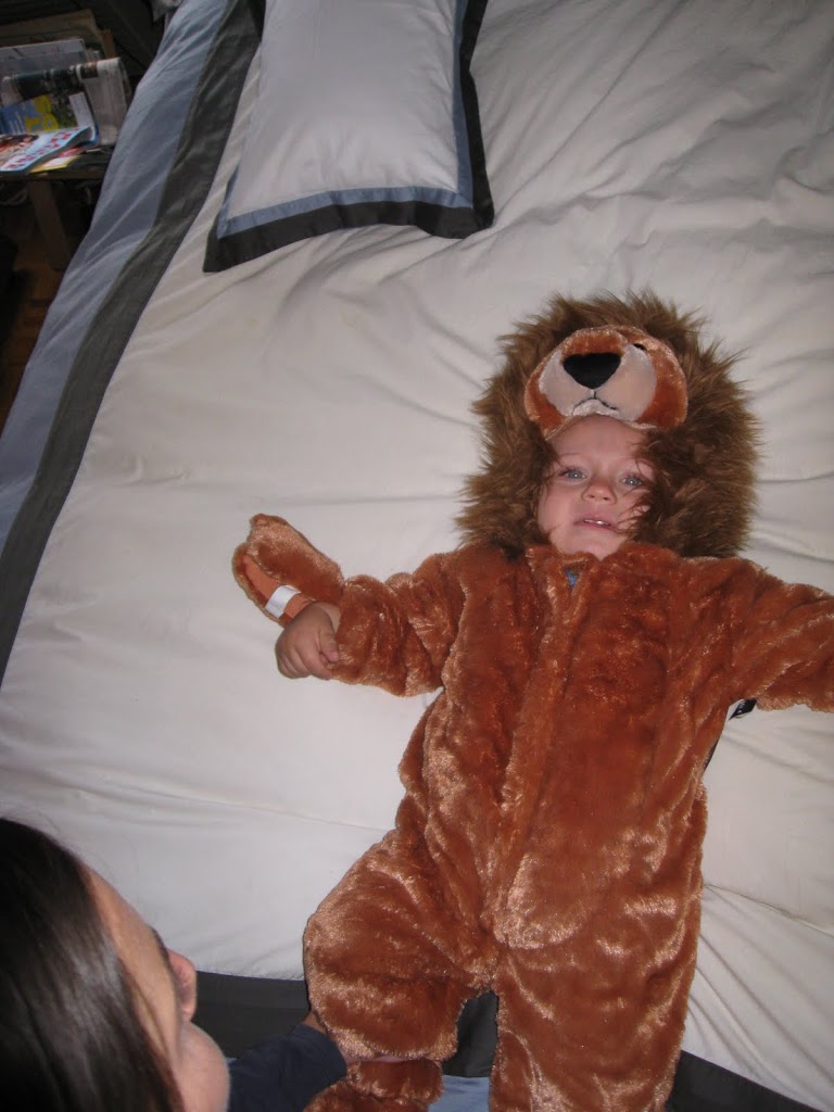 baby lion costume