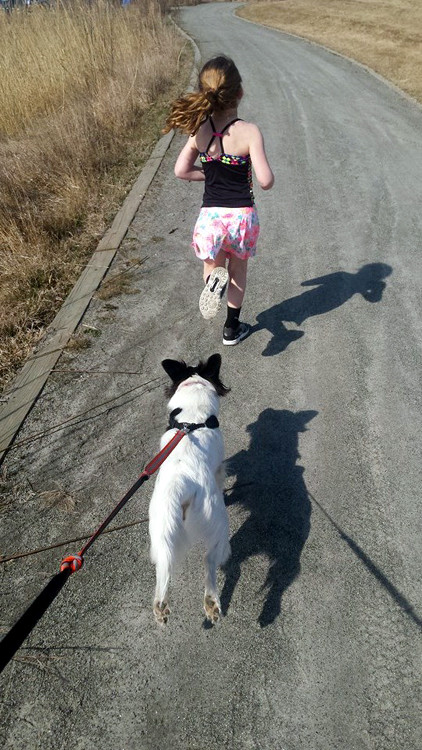 running girl dog