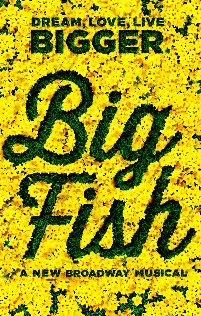 big Fish poster