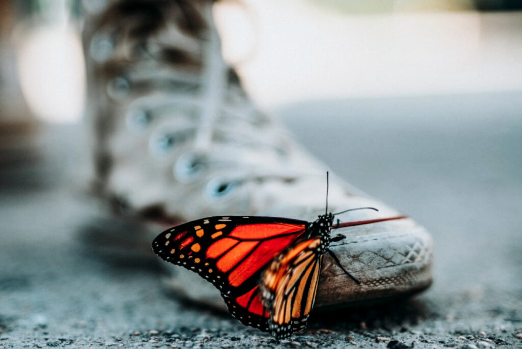 teen talks butterfly lands on shoe