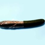 cucumber wrapped phallic the talk about sex