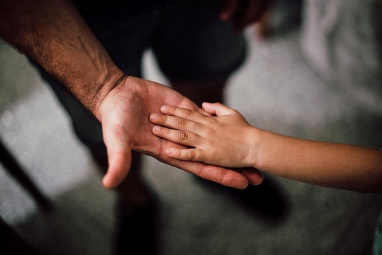 disaster daddin disaster prep child hand dad