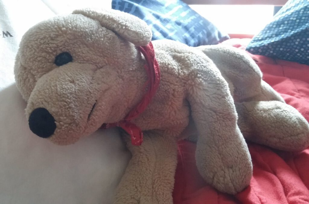 stuffed dog