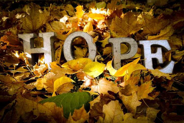 hope among the ruins
