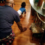 huggies little movers diapers crawl