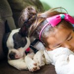 dog and child nap sleep on sofa
