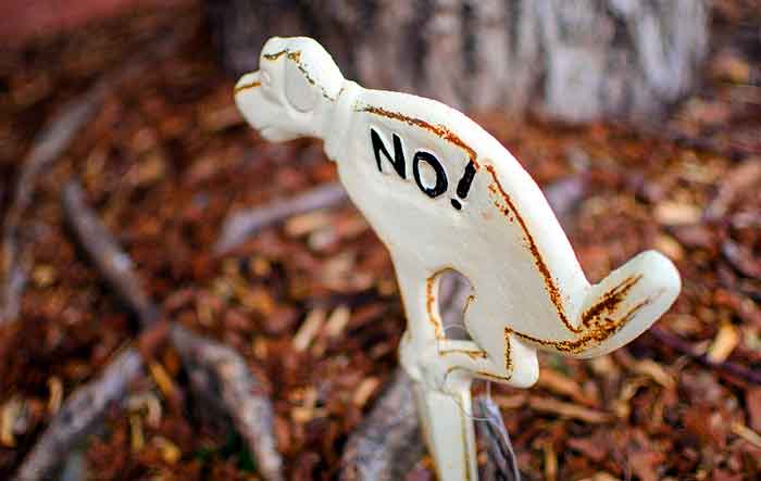 no dog poop sign pooper scooper
