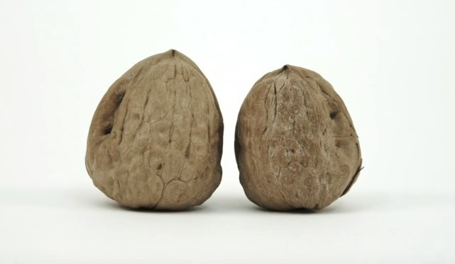 testicular cancer month know thy nuts walnut movember