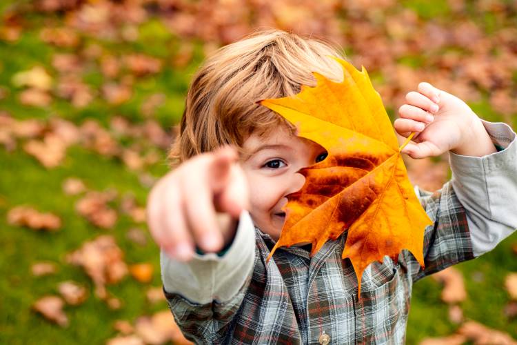 observe autumn leaves child 1