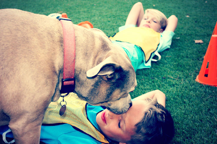 overscheduled children on sidelines with dog
