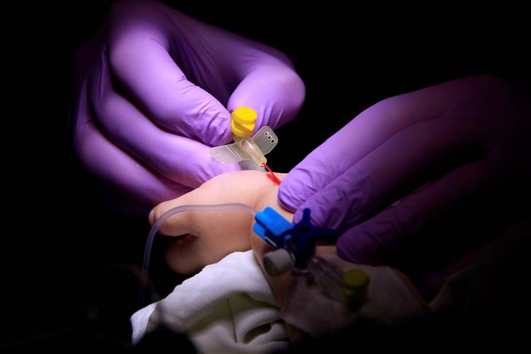 pediatric blood draw butterfly needle 1