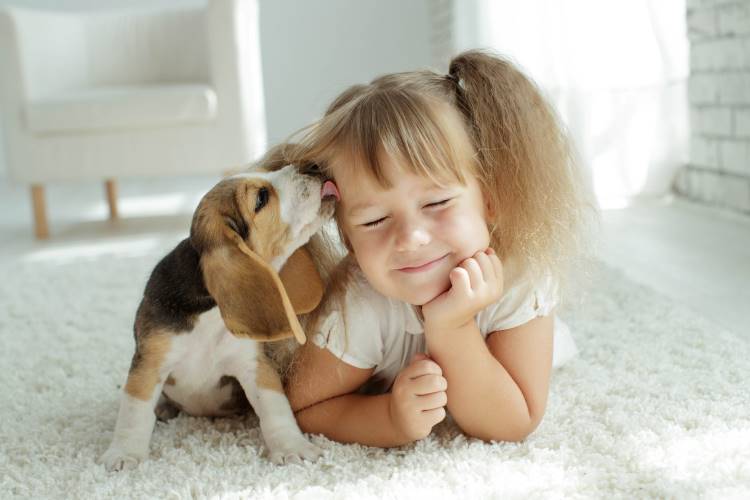 puppy toddler lick 1