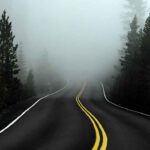 foggy road through forest driving mist