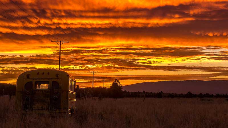 school bus driving into the sunrise sunset