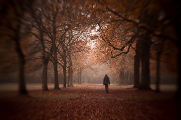 seasonal affective disorder in men 1