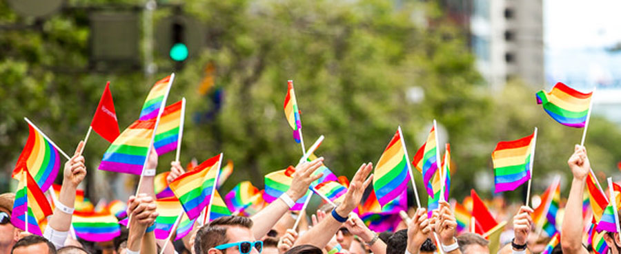 sexual orientation flag-gay