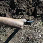 shovel dirt bury innocence