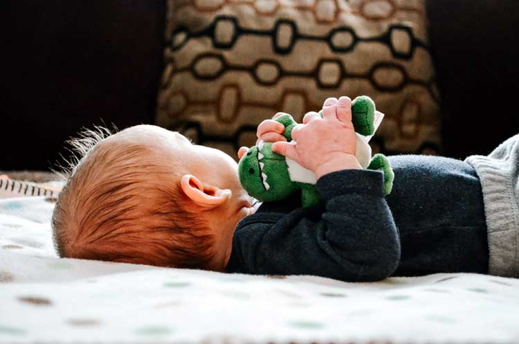 stuffed animal baby sleep