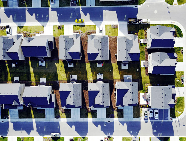 suburbs backyards