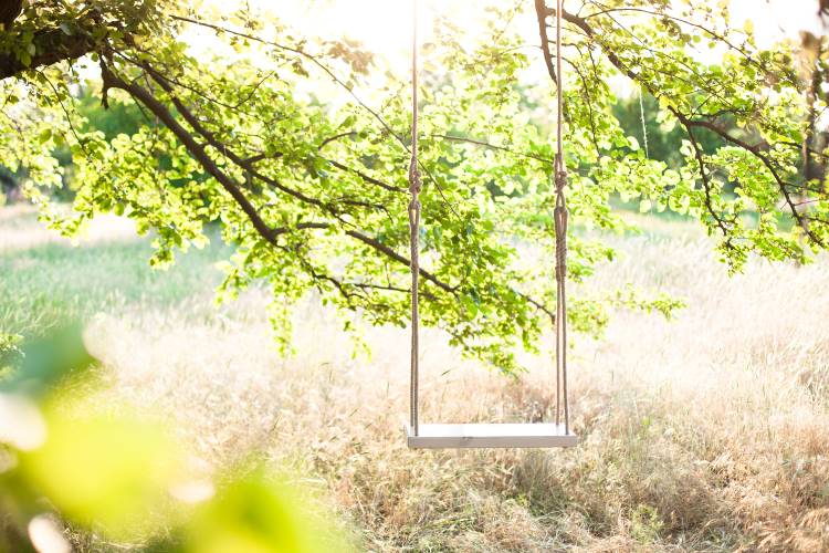 tree swing