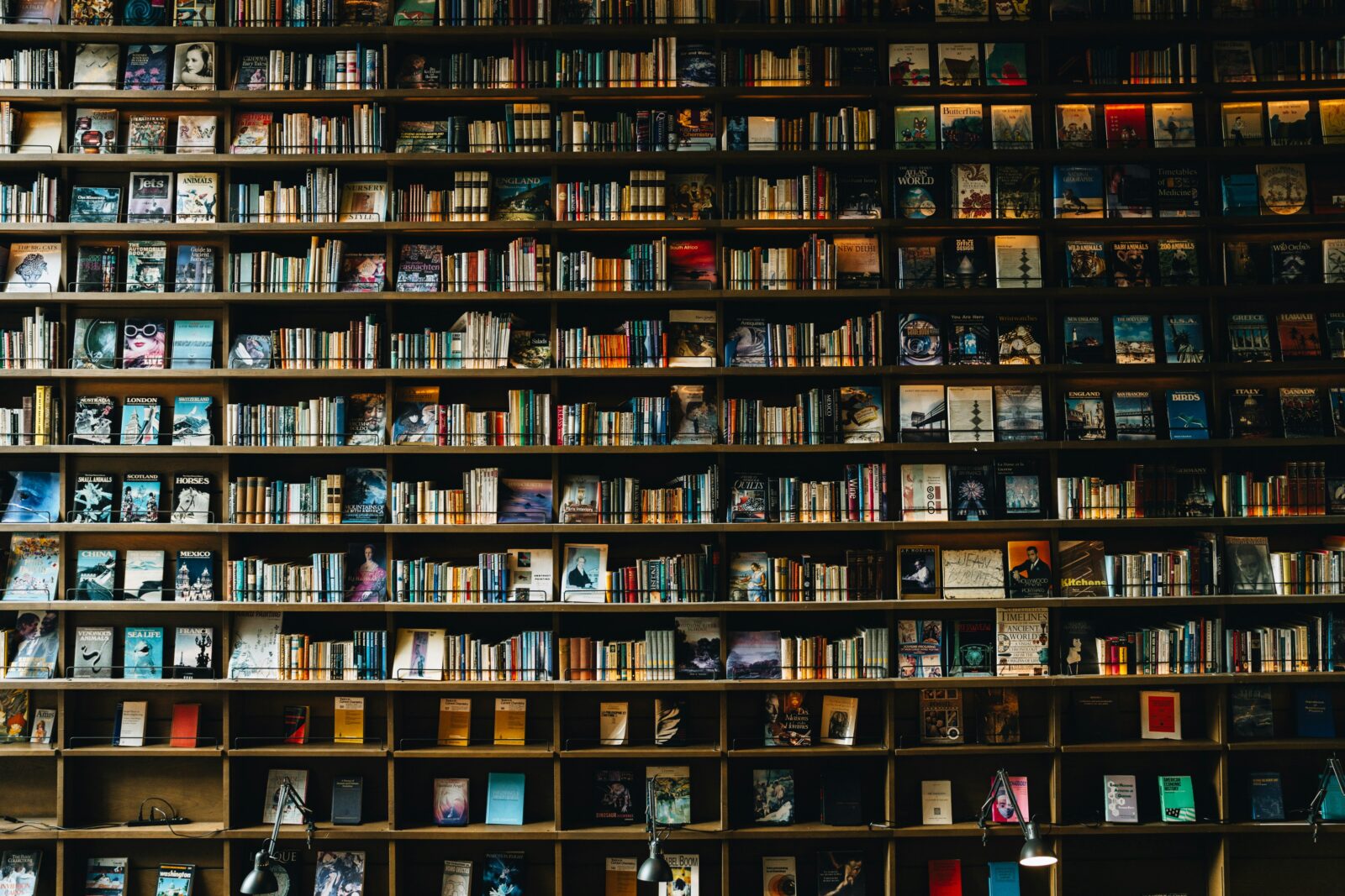 Beyond Board Books: Launching a Book Club for Dads